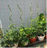 トマト支柱 (ラセン) 13×1800