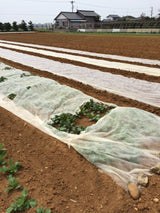 農用不織布 らくらくガード スーパー 210×200