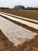 農用不織布 らくらくガード スーパー 90×50