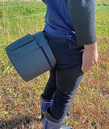 どこでもイース