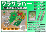 わらサラバー 1m-10m