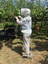 アルミステップ AP-25 25㎝