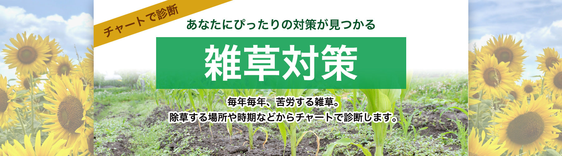 農家の店ひまわりオンラインショップ